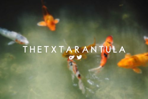 @thetxtarantula nude thetxtarantula nude