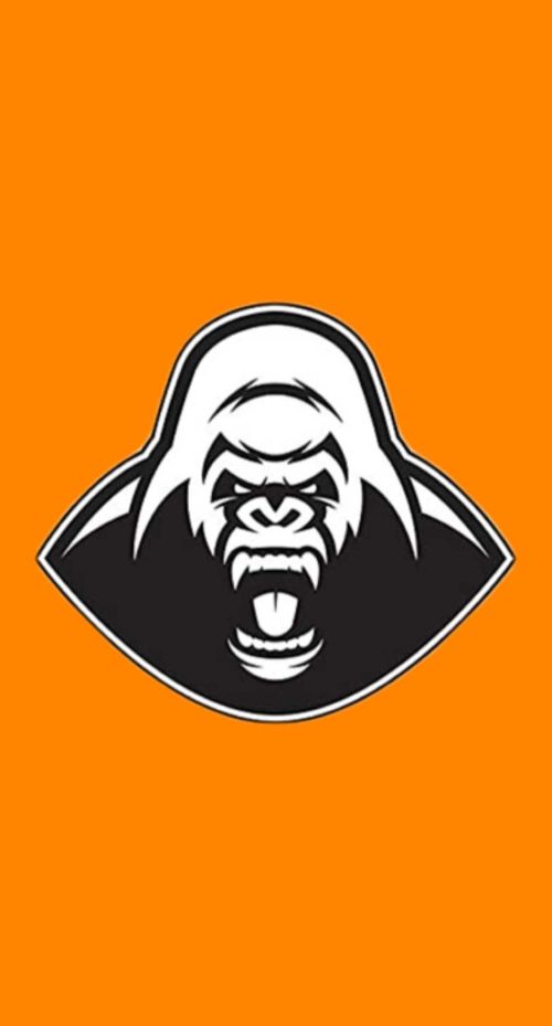 @silverback.picks