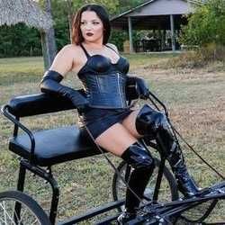 @orderindomitus