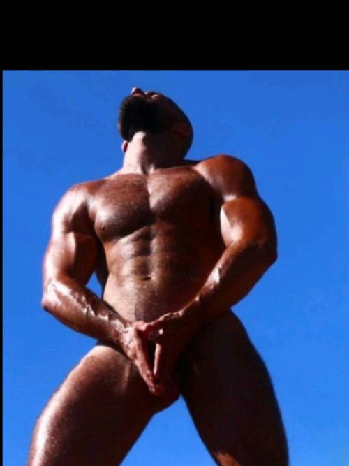@vikingobcn