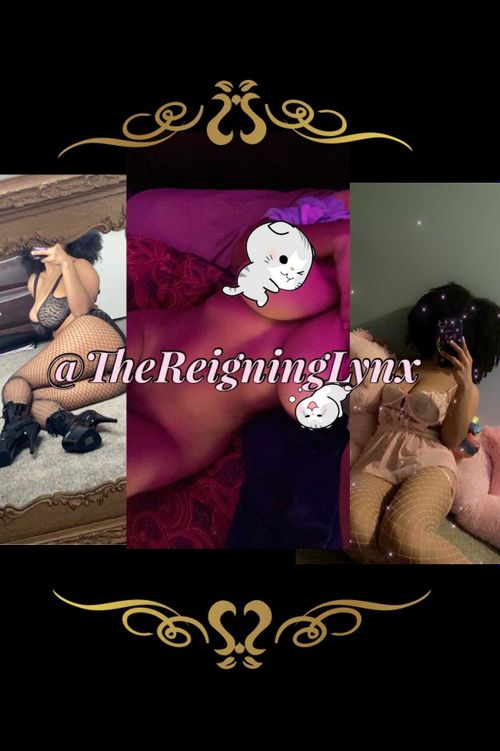 @thereigninglynx nude thereigninglynx nude