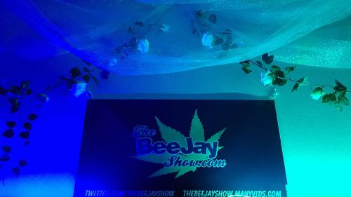 @thebeejayshow nude thebeejayshow nude