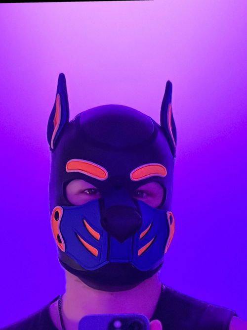 @pup_scoffs