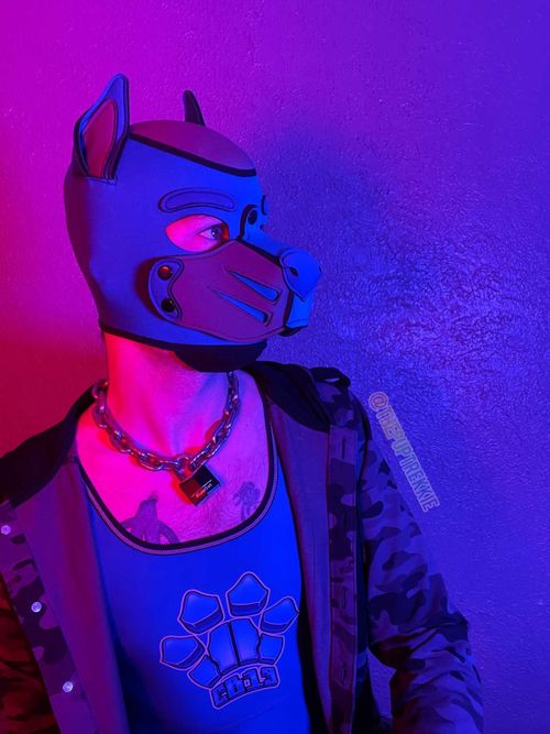 @thepuptrekkie