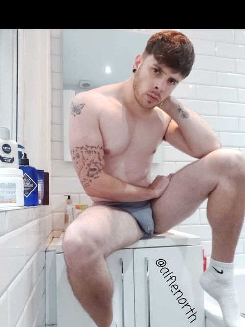 @alfienorth