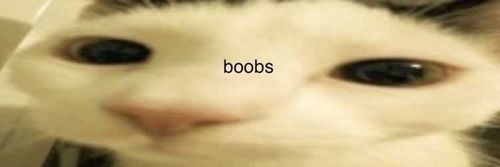 @amaribliss nude amaribliss nude