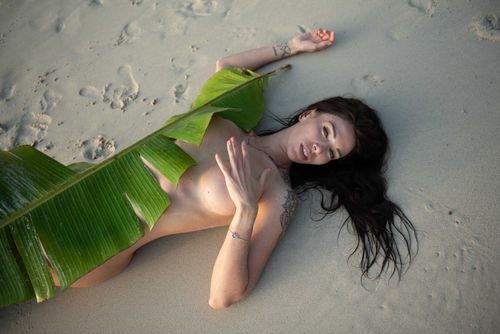 @aniblackfox nude aniblackfox nude