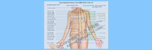 @aromamassagelife nude aromamassagelife nude