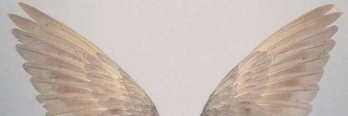 @bbeeckkyy nude bbeeckkyy nude