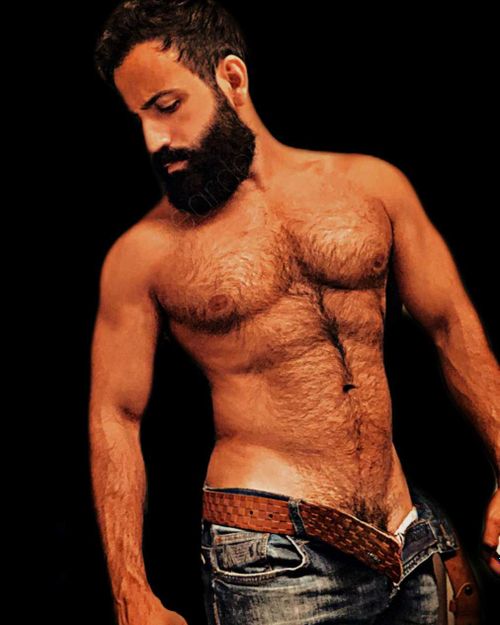 @beardedfrank