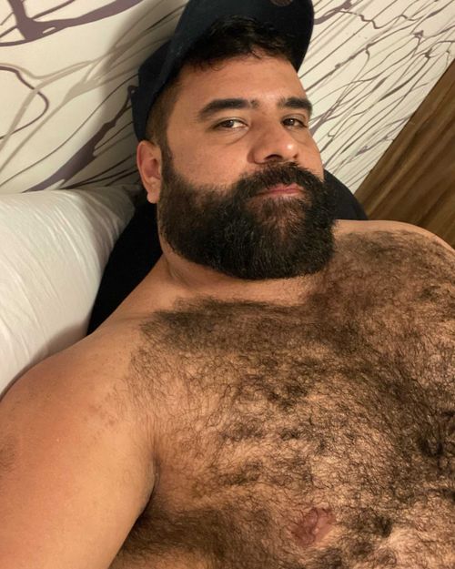 @bearwoofbr
