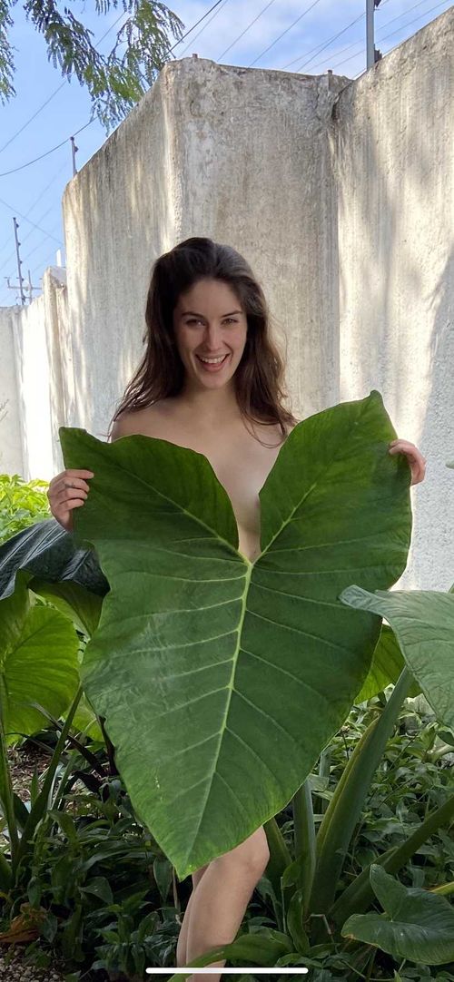 @bellatrixortreat2