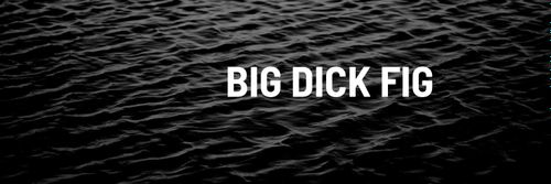 @bigdickfig nude bigdickfig nude