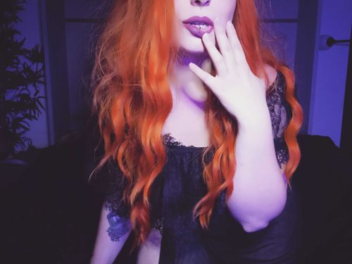 @boobiesncats