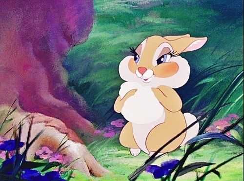 @bunnieeees nude bunnieeees nude