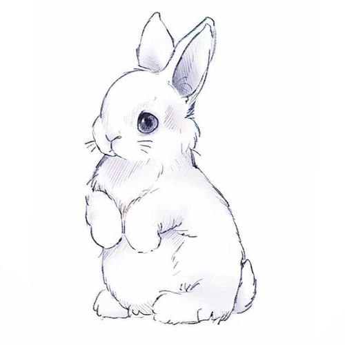 @bunnyduo nude bunnyduo nude