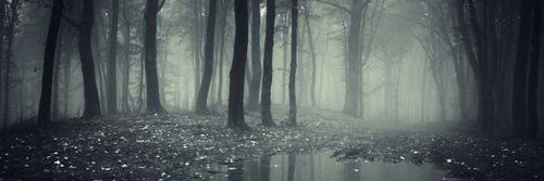 camilalynnadams nude