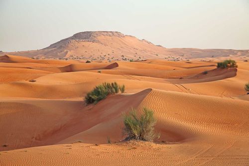 @arabmen nude arabmen nude