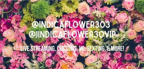 @indicaflower303vip nude indicaflower303vip nude