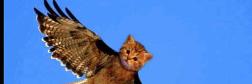 @kittyhawkbb nude kittyhawkbb nude