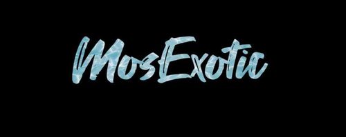@mosexotic nude mosexotic nude