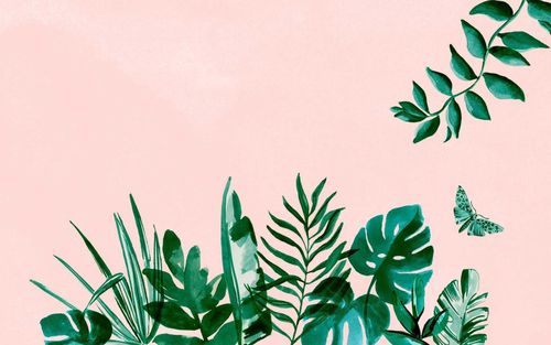 @plantvvitch nude plantvvitch nude