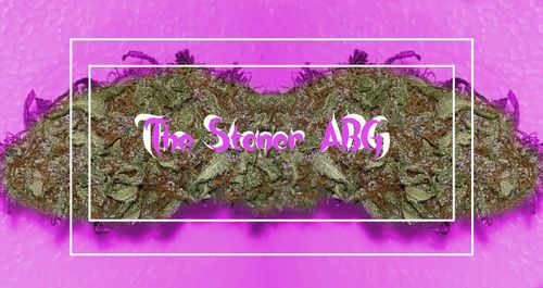 @thestoner_abg nude thestoner_abg nude