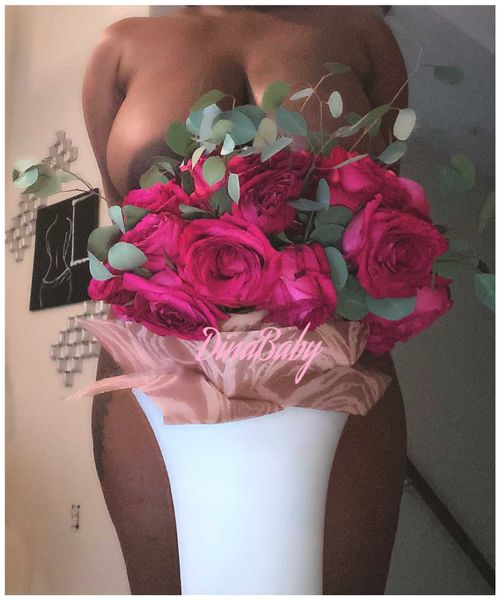 @dinababy