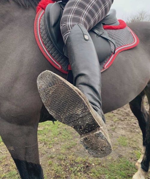 @equinegoddessk