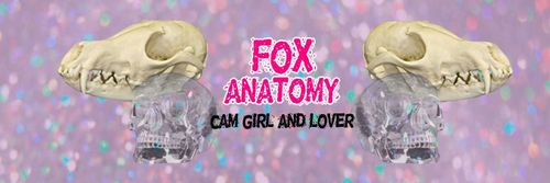 @fox_anatomy nude fox_anatomy nude