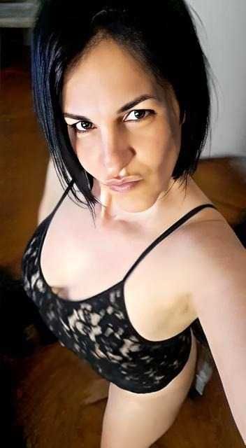 @gatamimosa4040
