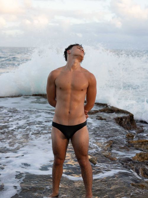 @gayvro