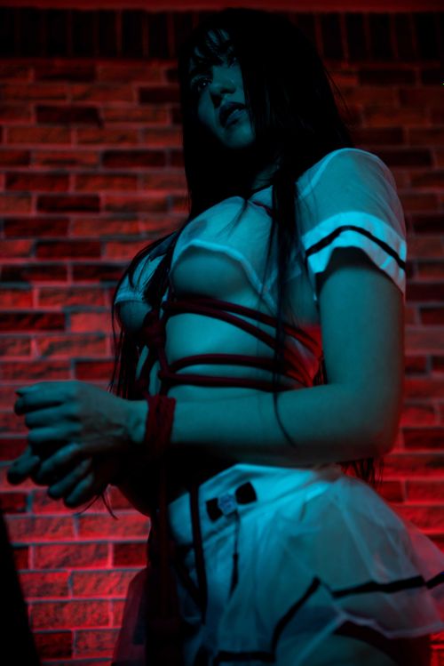 @hakicosmodel