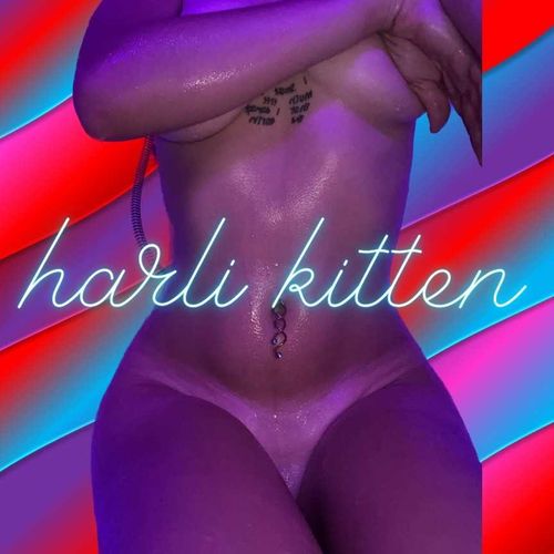 @harlikitten