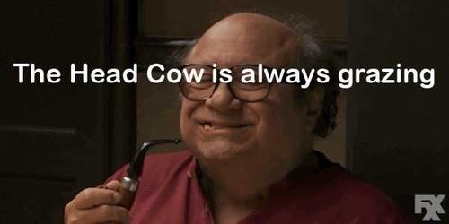 @head_cow nude head_cow nude