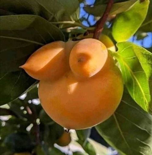 @honeymoon_bby nude honeymoon_bby nude