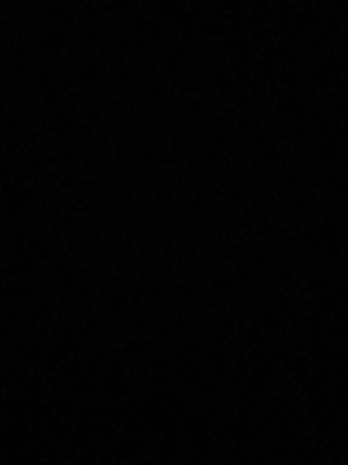 imdavidchase nude