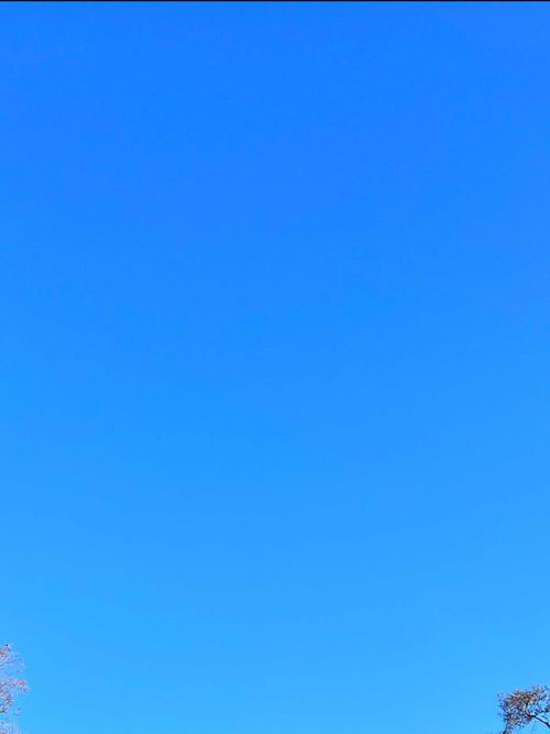 inactiveaccount02 nude