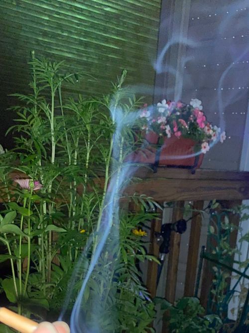 jerri_thedancer nude