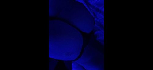 @keenwasabi17 nude keenwasabi17 nude