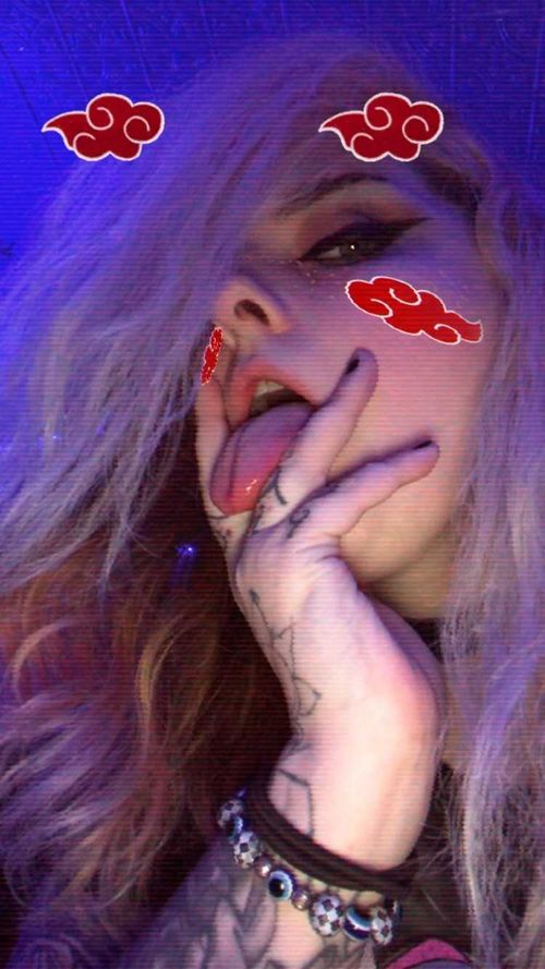 @kitten-envy