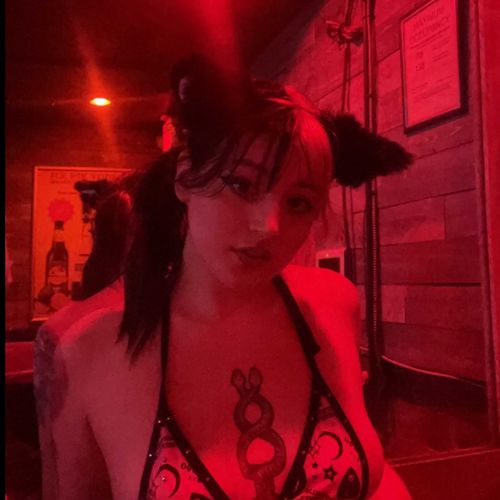 @kitten831