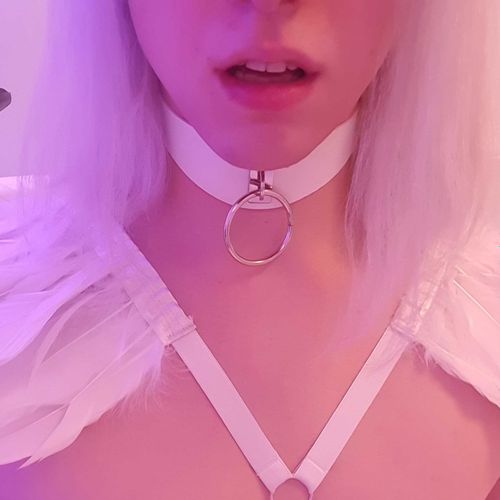 @kitty_shark