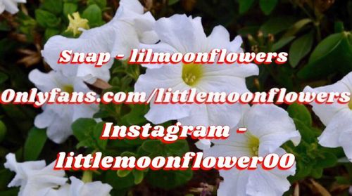 @littlemoonflowers nude littlemoonflowers nude