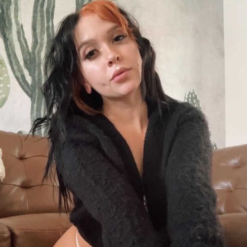 @lunarfox_