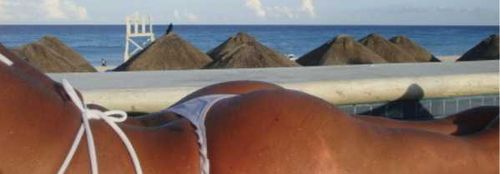 @mature-sandyb-free nude mature-sandyb-free nude
