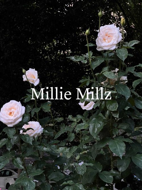 @milliemillz nude milliemillz nude