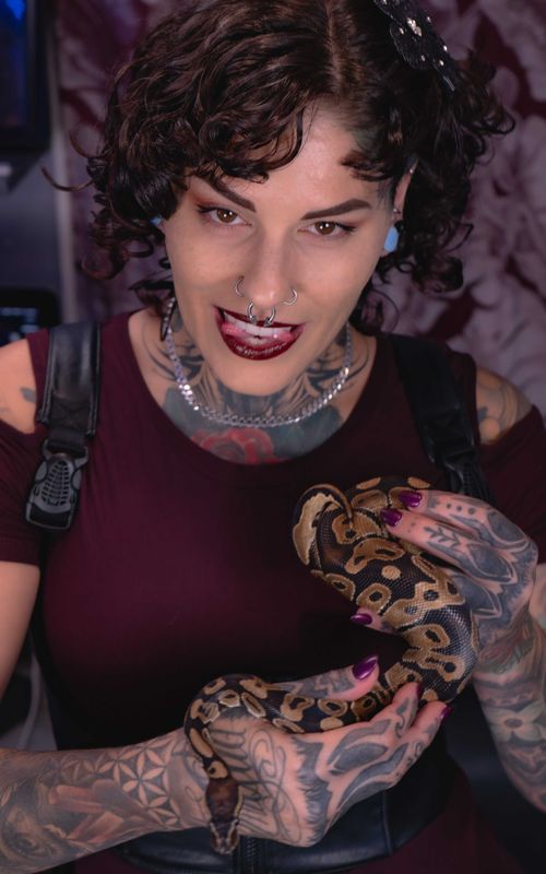 @misskaykomodo