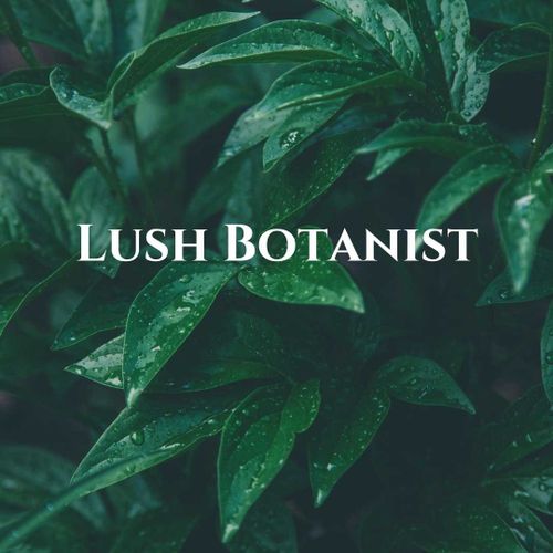 @mslushbotanist nude mslushbotanist nude