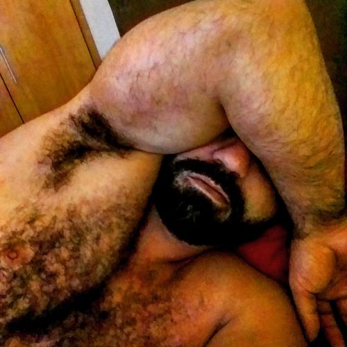 musclebearbrazil nude